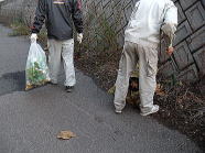 ボランティア活動5